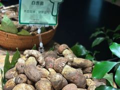 -黔蘑菇四季餐厅(观山湖店)