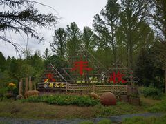 -东平国家森林公园