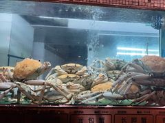 -阳光码头海鲜火锅(世纪大道店)