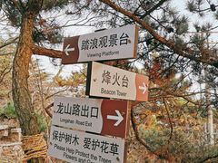 景点-信号山公园