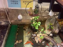 -许榴香西餐厅(台东步行街店)