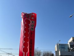 -和禄德冰糖葫芦(东四朝内菜市场店)