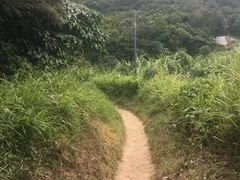 -南丫岛