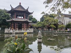-碧江金楼