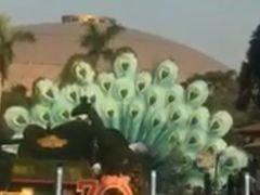 -灵玲国际马戏城