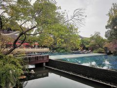 -杭州西子湖四季酒店-WL BISTRO西湖餐厅(灵隐路店)