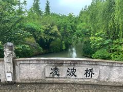 -绍兴镜湖国家城市湿地公园