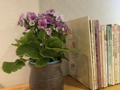 -十二舍·湯物素煮(江泰潤政店)