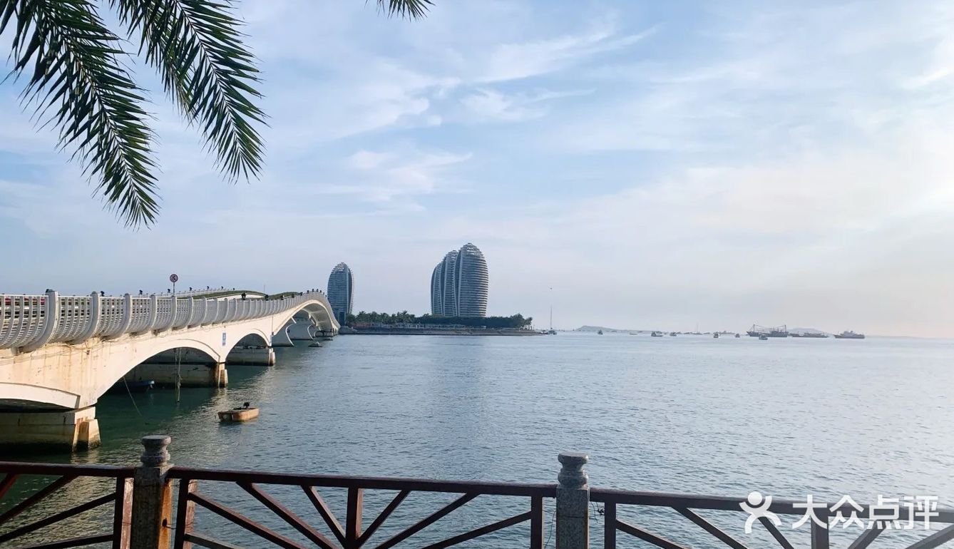 阿拉伯贵妇与金边大毒枭的爱情故事🤦🏻‍♀️