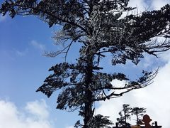 -峨嵋山金顶