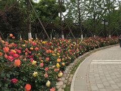 -西海子公园