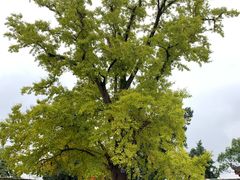 -金堂县云顶石城风景区