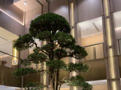 -外滩·云南人家(昆明旗舰店)