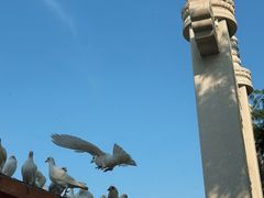 -天津妈祖文化园