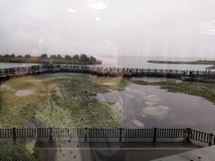 -新木器时代餐厅(太湖新天地店)