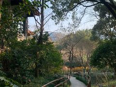 -中国茶叶博物馆(双峰馆区)