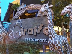 -清迈夜间动物园