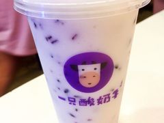 -一只酸奶牛(八一路店)