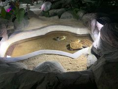 -泉城欧乐堡海洋极地世界