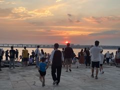 -宝安西湾红树林湿地公园