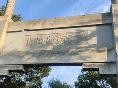 -紫金山山顶公园