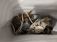 -七星龙虾城·海鲜·大闸蟹(吴江店)