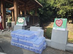-大雁山风景区