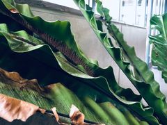 -山下C5cafe(惠通时代广场店)