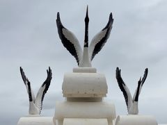 -郭莽湿地
