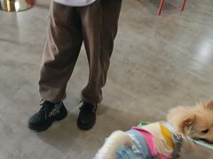 -Max乐狐·密室逃脱(港惠店)