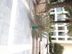 千岛湖开元度假村-杭州千岛湖开元度假村