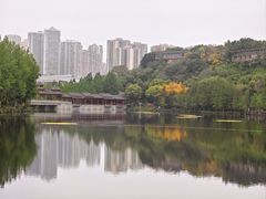 -重庆彩云湖湿地公园