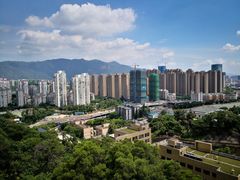 -金鸡山公园