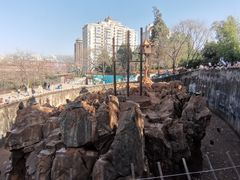 -昆明动物园