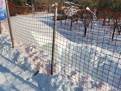 -沈阳奥体冰雪嘉年华