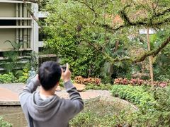 -香港佐治五世纪念公园