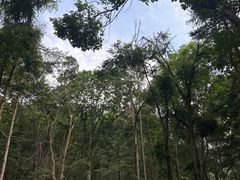 -洛阳白云山景区