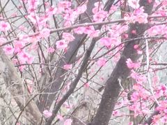 -青龙山公园
