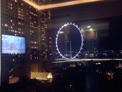 -新加坡文华东方酒店