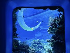 -欢乐海岸海洋奇梦馆