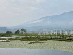-腾冲北海湿地