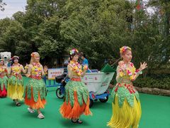 -苏州乐园森林水世界