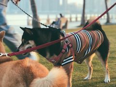 -星巴克(珠海仁恒滨海中心店)
