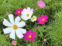 -汉长安城未央宫国家考古遗址公园