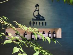 -野鸽子咖啡(航空路店)