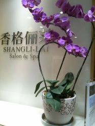 6-CARR SALON