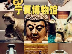 -宁夏博物馆