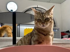 -上海三联书店READWAY(华中首店)