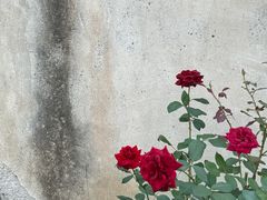 -山塘街