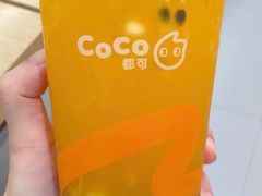 -CoCo都可(光谷天地店)